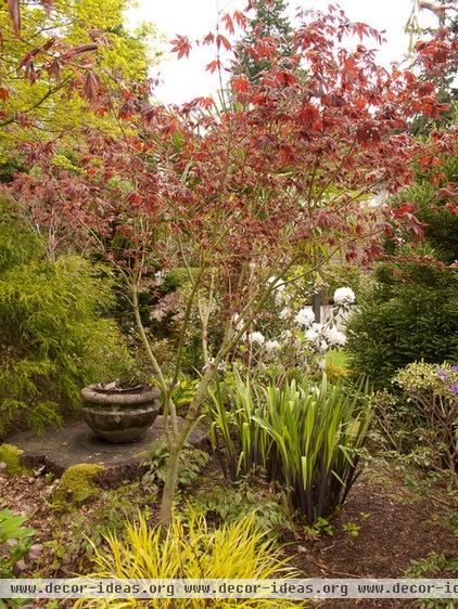 A Great Spring Plant Combo for Dappled Shade