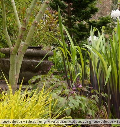 A Great Spring Plant Combo for Dappled Shade