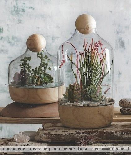 Guest Picks: The Art of the Terrarium