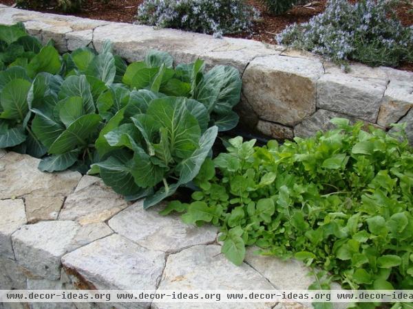 Cool-Season Vegetables: How to Grow Lettuce