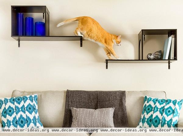 Houzz Products: Create a Cat Heaven at Home