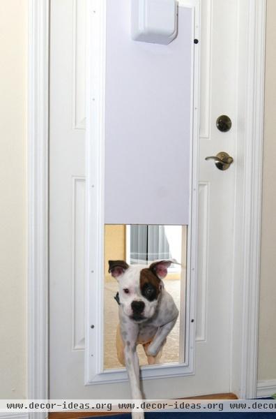 pet accessories Electronic Pet Door With One-Touch Programming