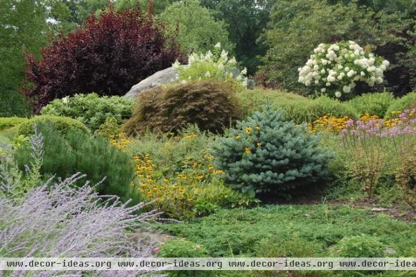 eclectic landscape by Mary-Liz Campbell Landscape Design