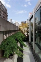 Great Design Plant: Creeping Juniper Holds Its Ground