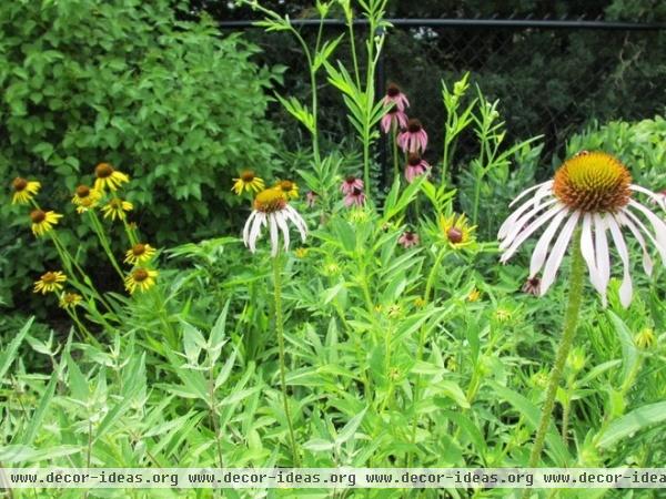 by Benjamin Vogt / Monarch Gardens