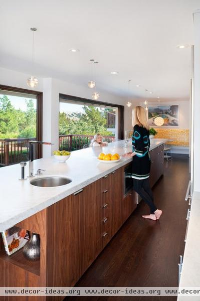 midcentury kitchen by Jennifer Weiss Architecture