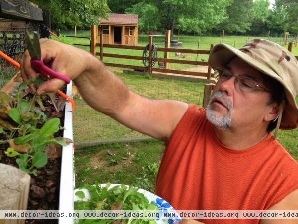 Houzz Call: Strangest Place You've Grown Vegetables