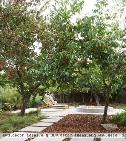 contemporary patio by Arterra LLP Landscape Architects