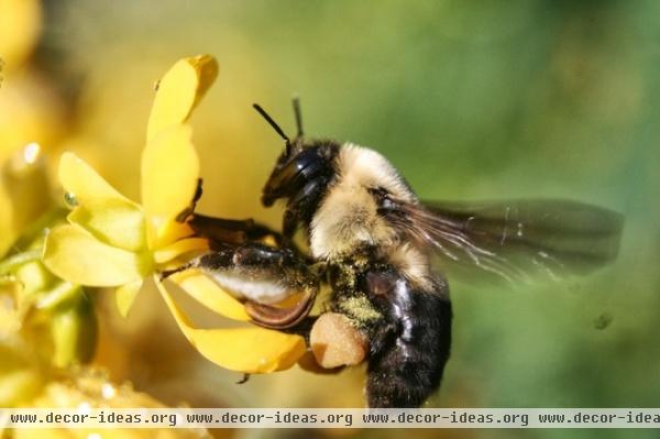 by Benjamin Vogt / Monarch Gardens