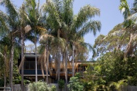 Houzz Tour: Modern Treetop Living in Sydney