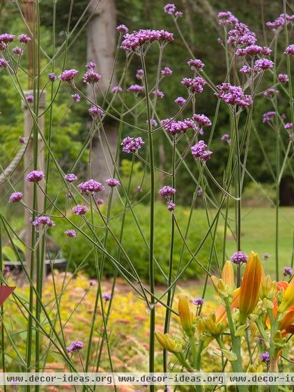 landscape by Le jardinet