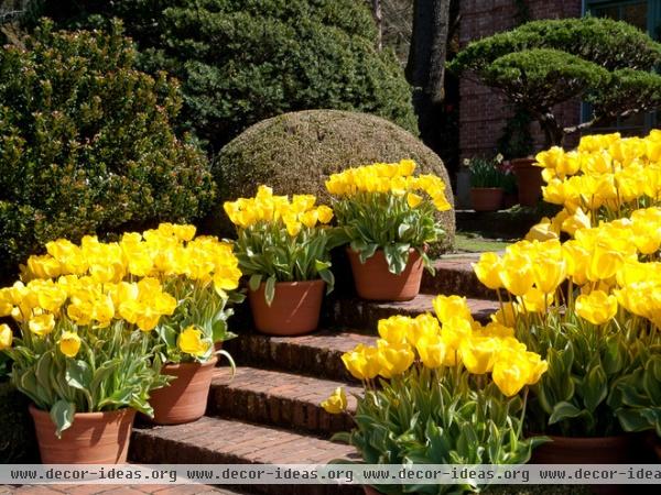 traditional landscape by Le jardinet