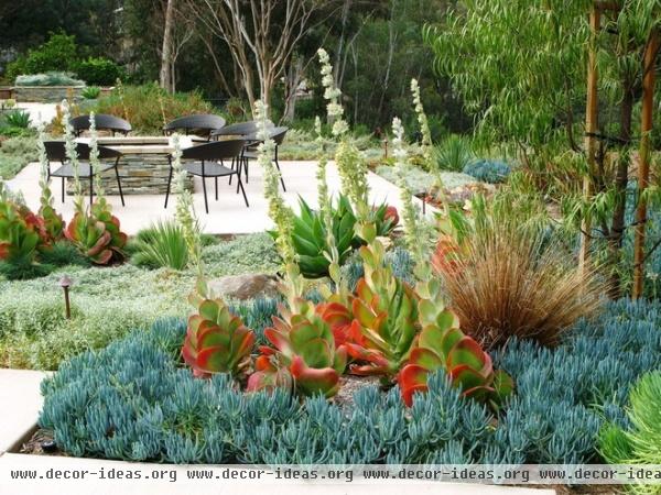 contemporary landscape by debora carl landscape design