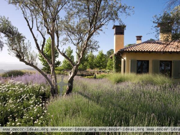 mediterranean landscape by McKinney Photography