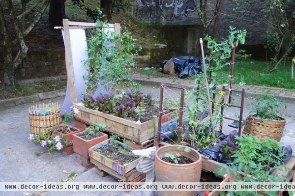 crazy places to grow vegetables.