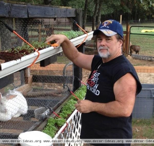 crazy places to grow vegetables.