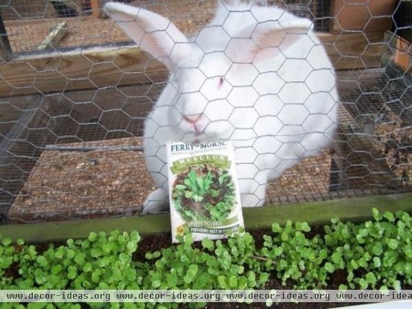 crazy places to grow vegetables.