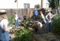 Grow a Beautiful Garden With Ecofriendly Greywater