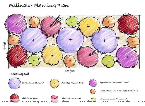 traditional site and landscape plan by Erin Lau Landscape Design- Seattle