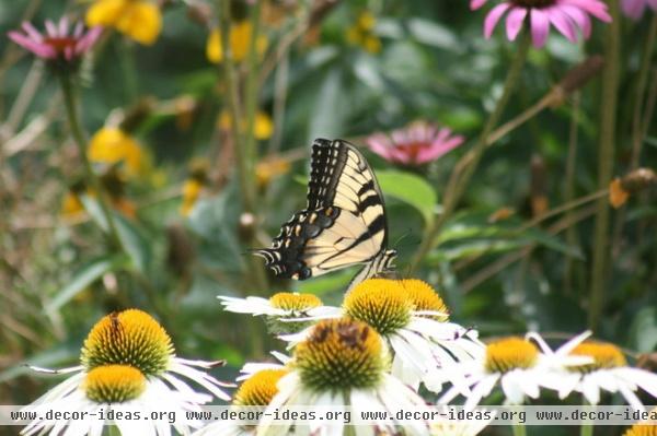 by Benjamin Vogt / Monarch Gardens