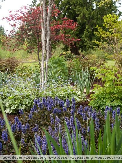 traditional landscape by Le jardinet