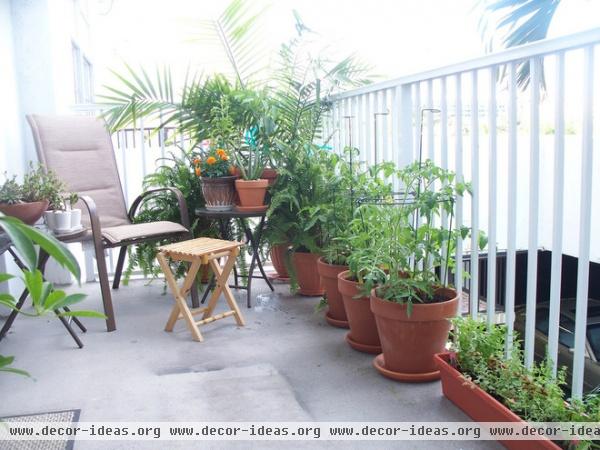 patio Small Gardens