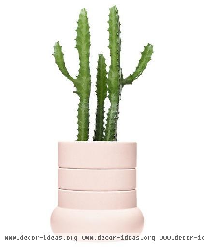 contemporary indoor pots and planters by Kate Spade Saturday