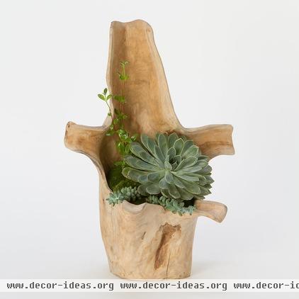 eclectic indoor pots and planters by Terrain