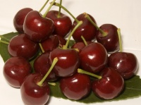 How to Grow Your Own Luscious Cherries