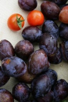 How to Grow Your Own Juicy Plums