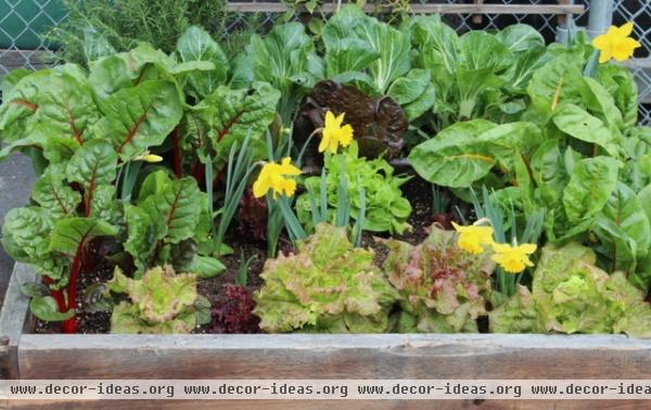 Grow a kitchen garden in 16 square feet