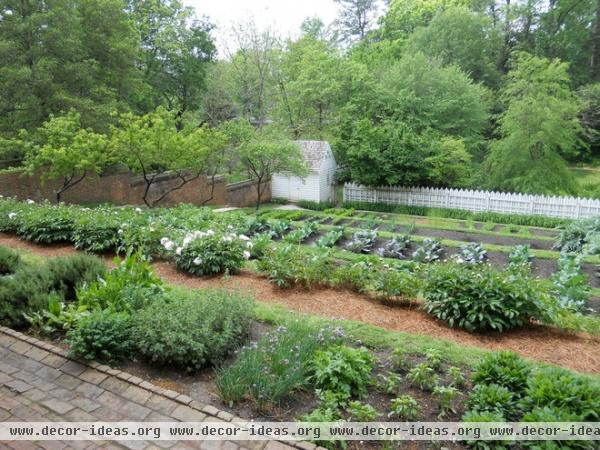 traditional landscape by Paintbox Garden