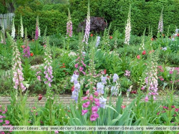 traditional landscape by Paintbox Garden