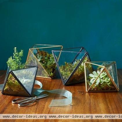 contemporary indoor pots and planters by West Elm