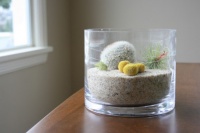 Guest Picks: More Ideas for Artful Terrariums