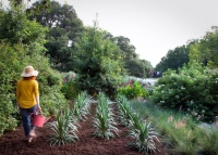 Simple Pleasures: Savor the First Spring Day in the Garden