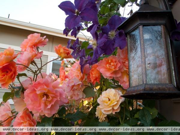 landscape by Le jardinet