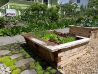 How to Build a Raised Bed for Your Veggies and Plants