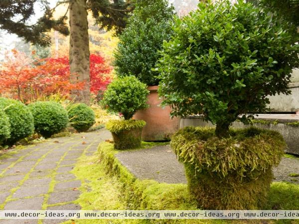 traditional landscape by Le jardinet