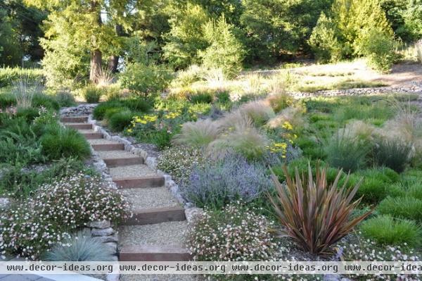 mediterranean landscape by Huettl Landscape Architecture