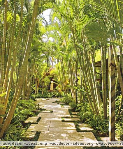 tropical landscape by VITA Planning and Landscape Architecture