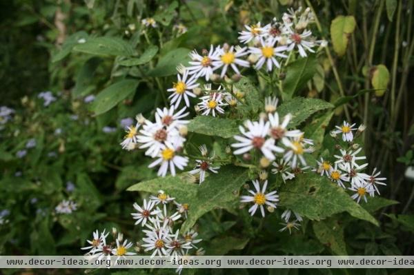 by Benjamin Vogt / Monarch Gardens