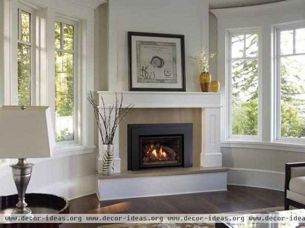 traditional fireplaces by Regency Fireplace Products