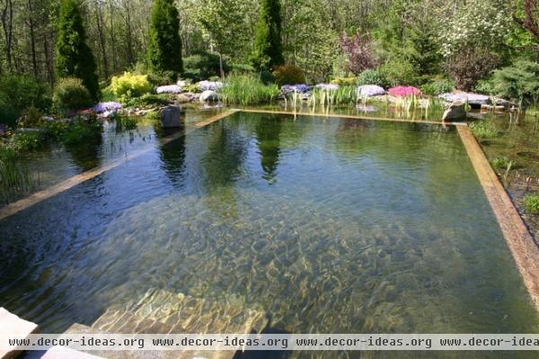 traditional pool by Robins Nest Aquatics