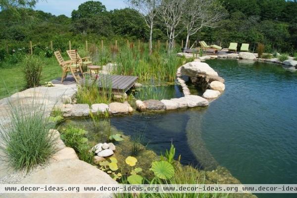 tropical swimming pools and spas by Freddy's Landscape