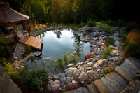 Natural Swimming Pools: More Beauty, No Chemicals