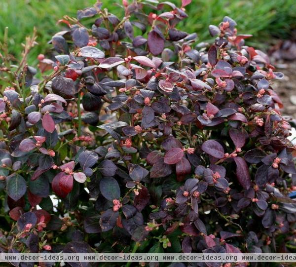 landscape by Fall Creek Farm & Nursery, Inc.