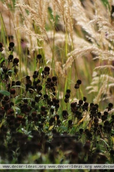 traditional landscape by Laara Copley-Smith Garden & Landscape Design