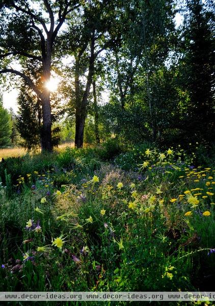 traditional landscape by HABITAT Landscape Architecture