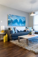 My Houzz: Color and Pattern Give a Newlyweds’ Home Zing